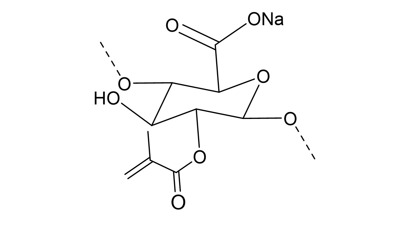 Diapositivo2