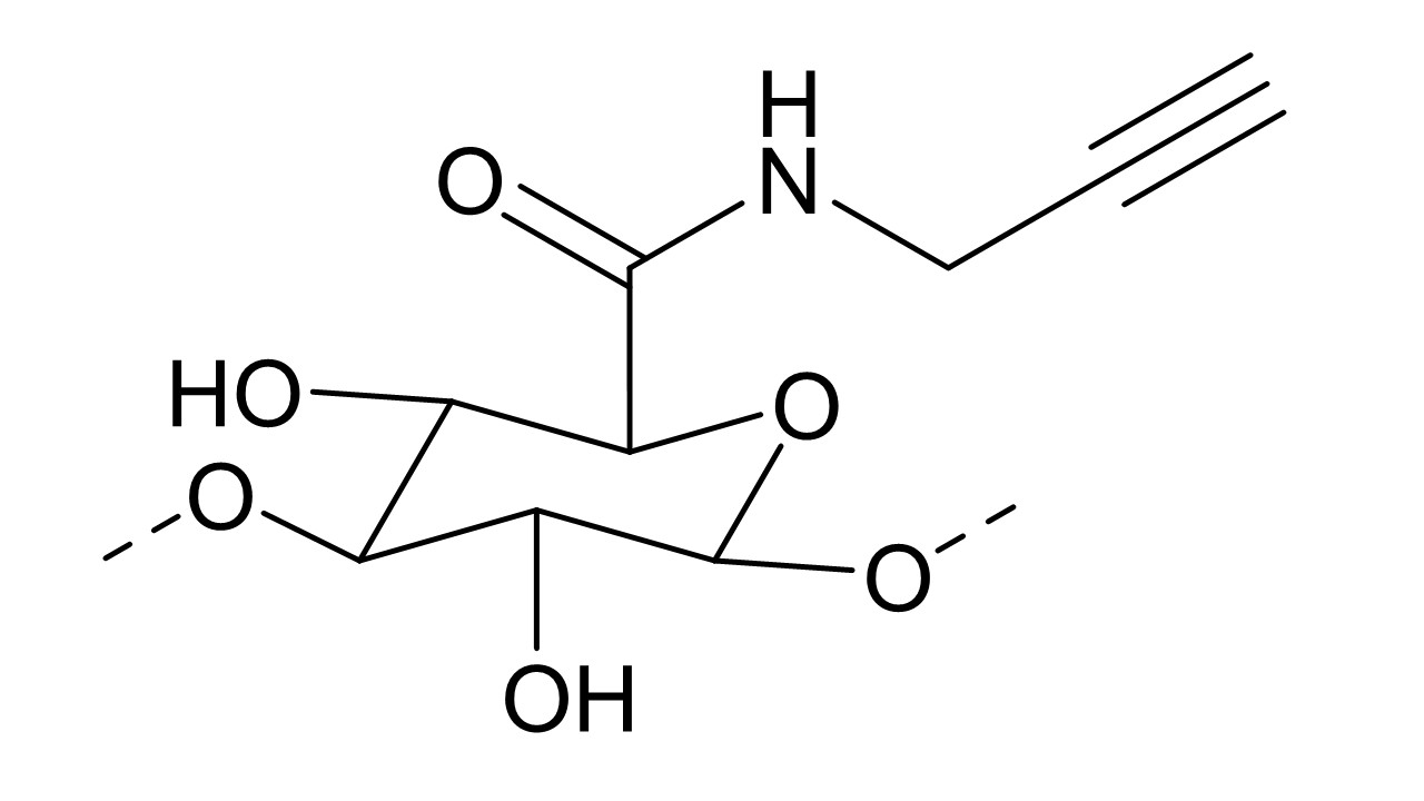 Diapositivo3