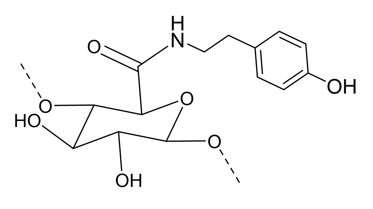 Diapositivo4