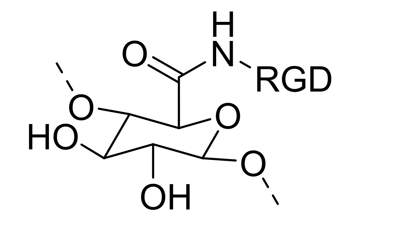 Diapositivo5