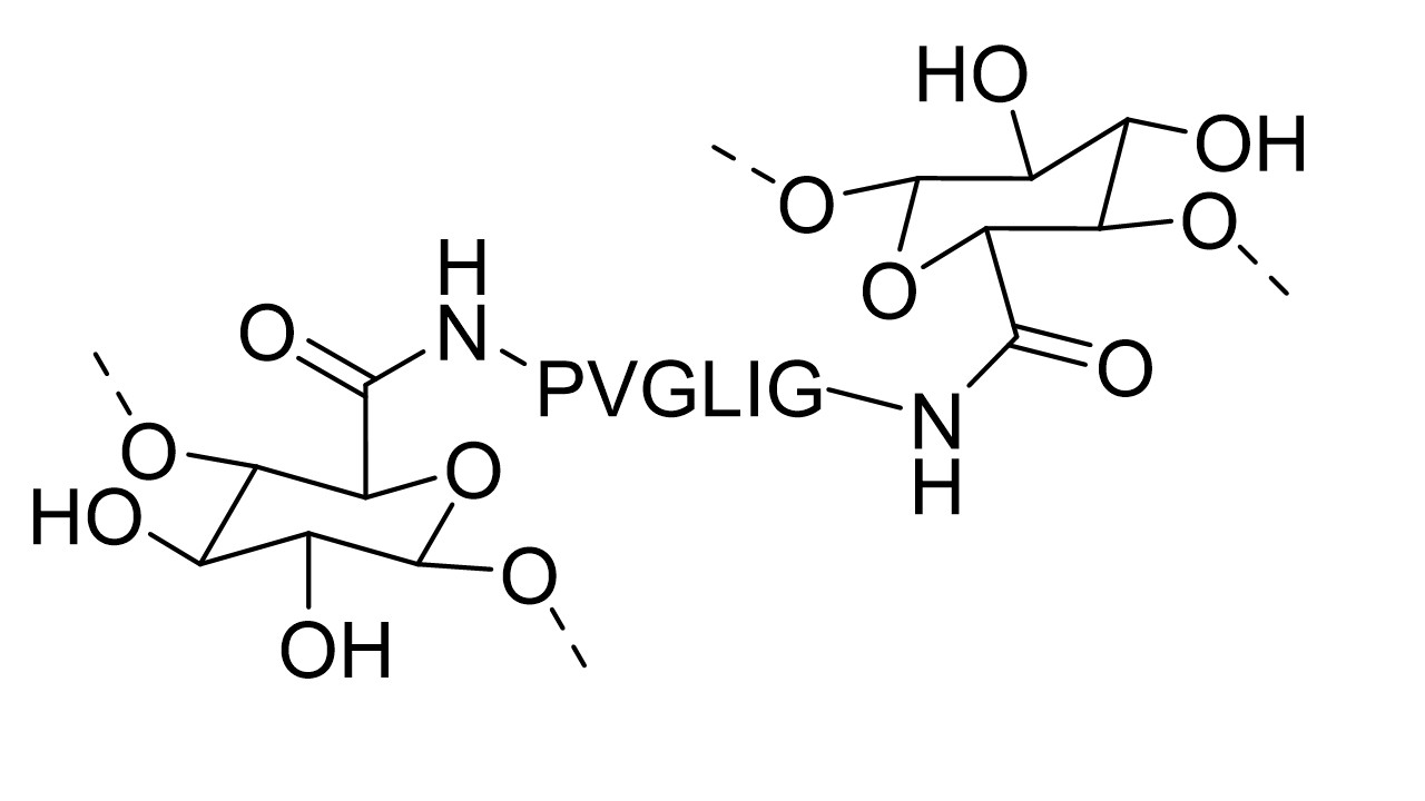 Diapositivo6